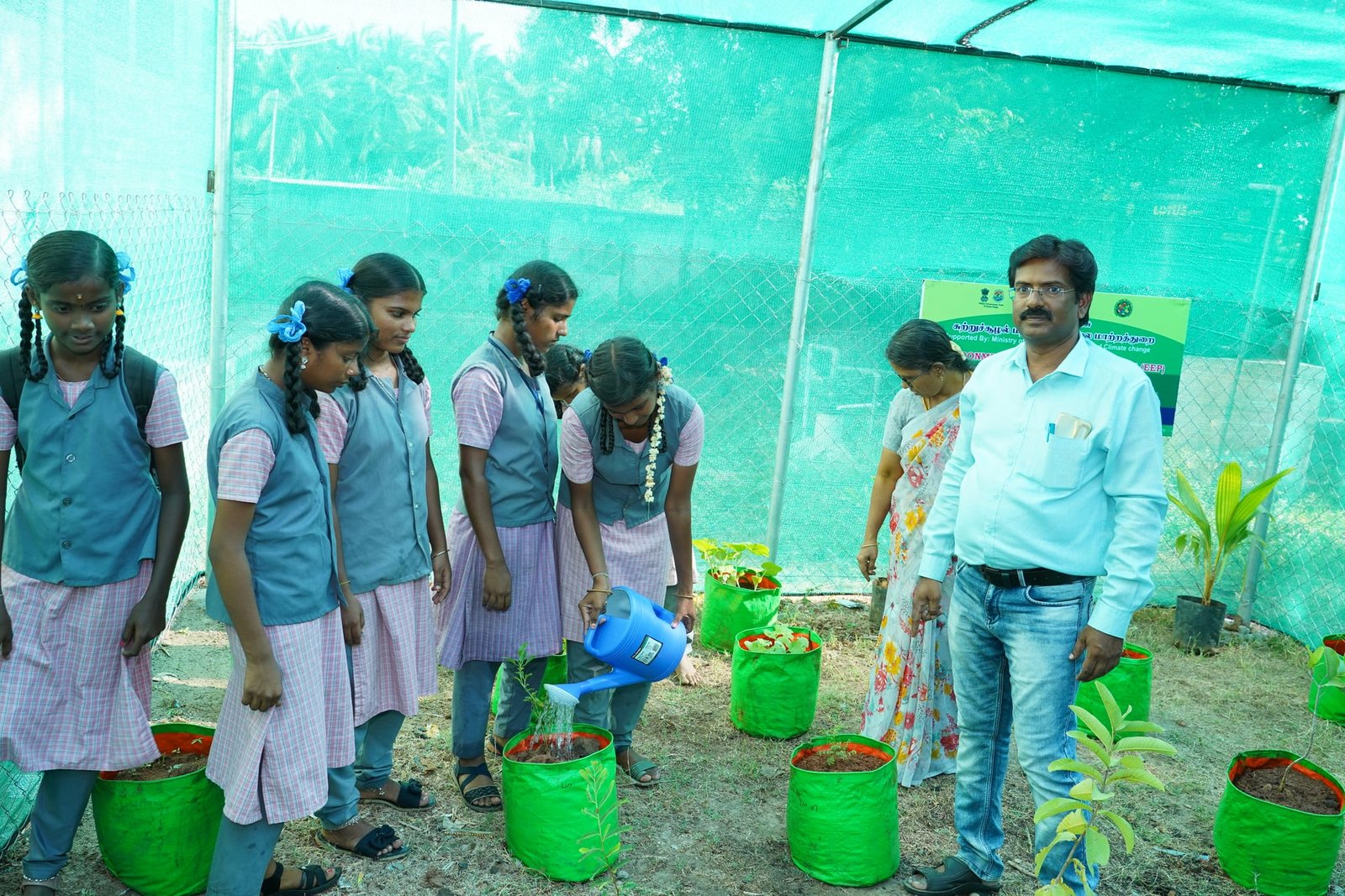 Regenerative Agriculture & Terrace Gardens
