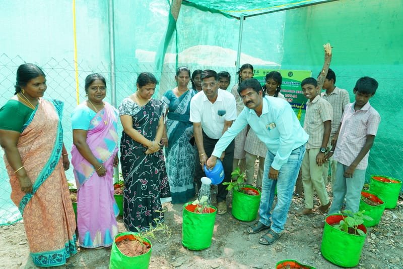 Organic Roots & Terrace Food Gardens