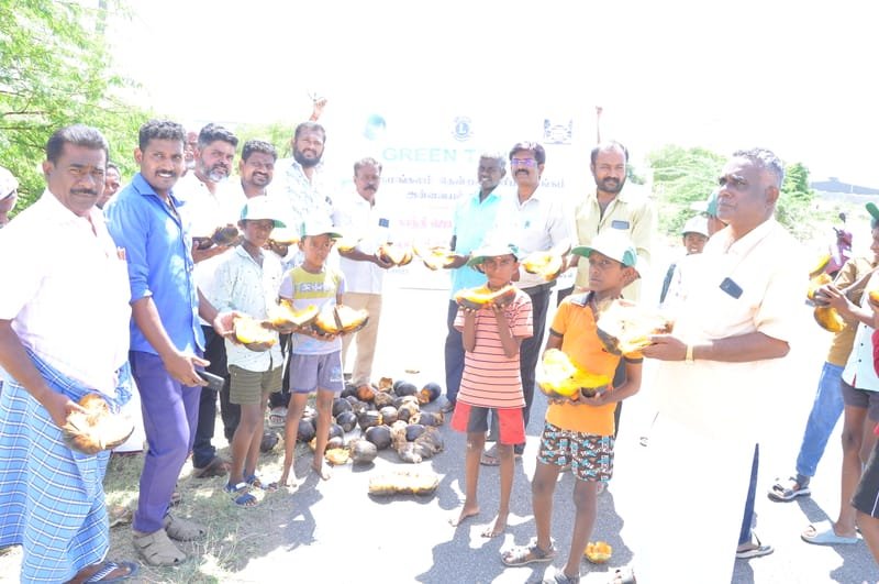 Ghandhi Jeayanthi -2025 Celebration & Palm Seed and Rare Spicies Tree Plantation Programme in Madurai District